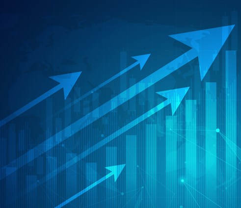 קרנות סל 900777