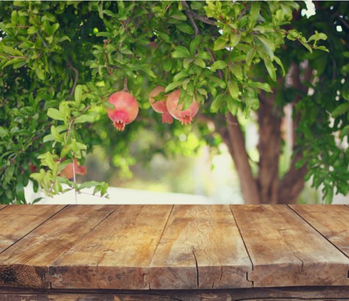 חמש מתנות לחג900777