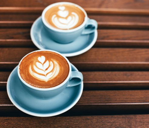 קרנות נאמנות למשקיעים סולידיים 900777