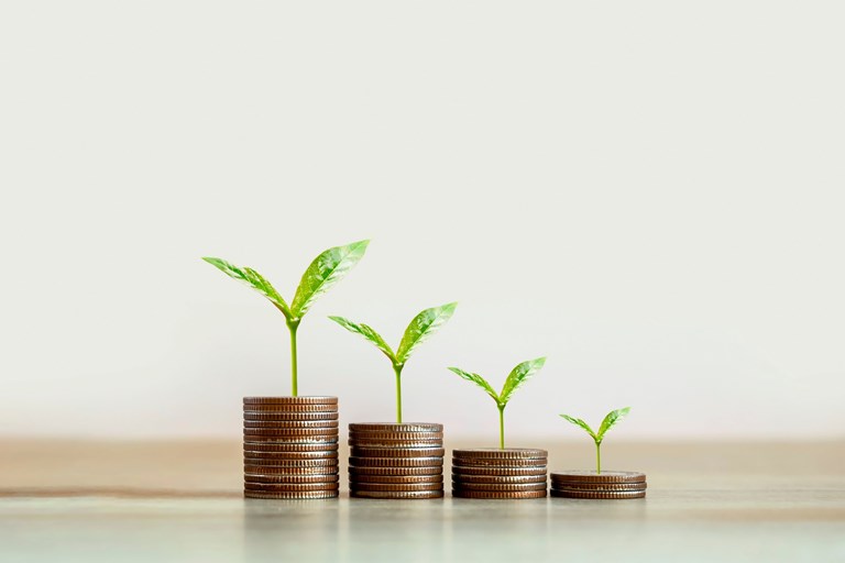 הכל על קרן פנסיה 850500