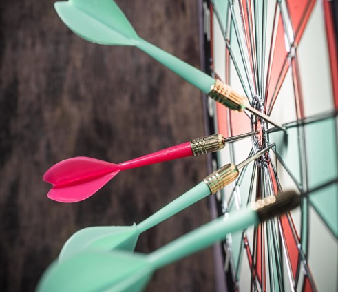 מדריך איך לבחור קרן נאמנות 900777