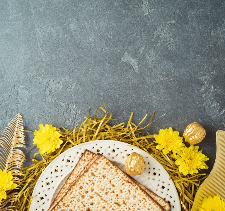 סדר פסח פיננסי 900960